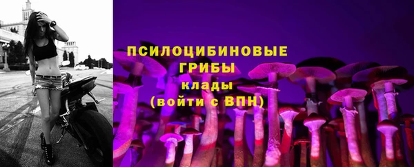 крисы Алзамай
