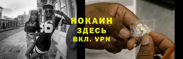 крисы Алзамай