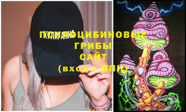 МДПВ Алексеевка